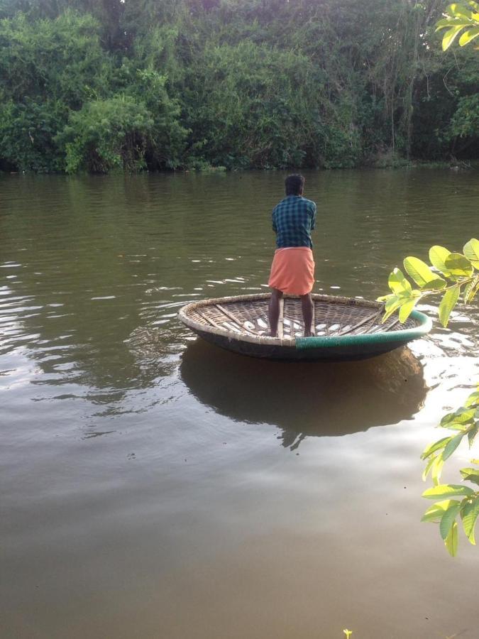 Garggi Kumarakom Village Homestay المظهر الخارجي الصورة
